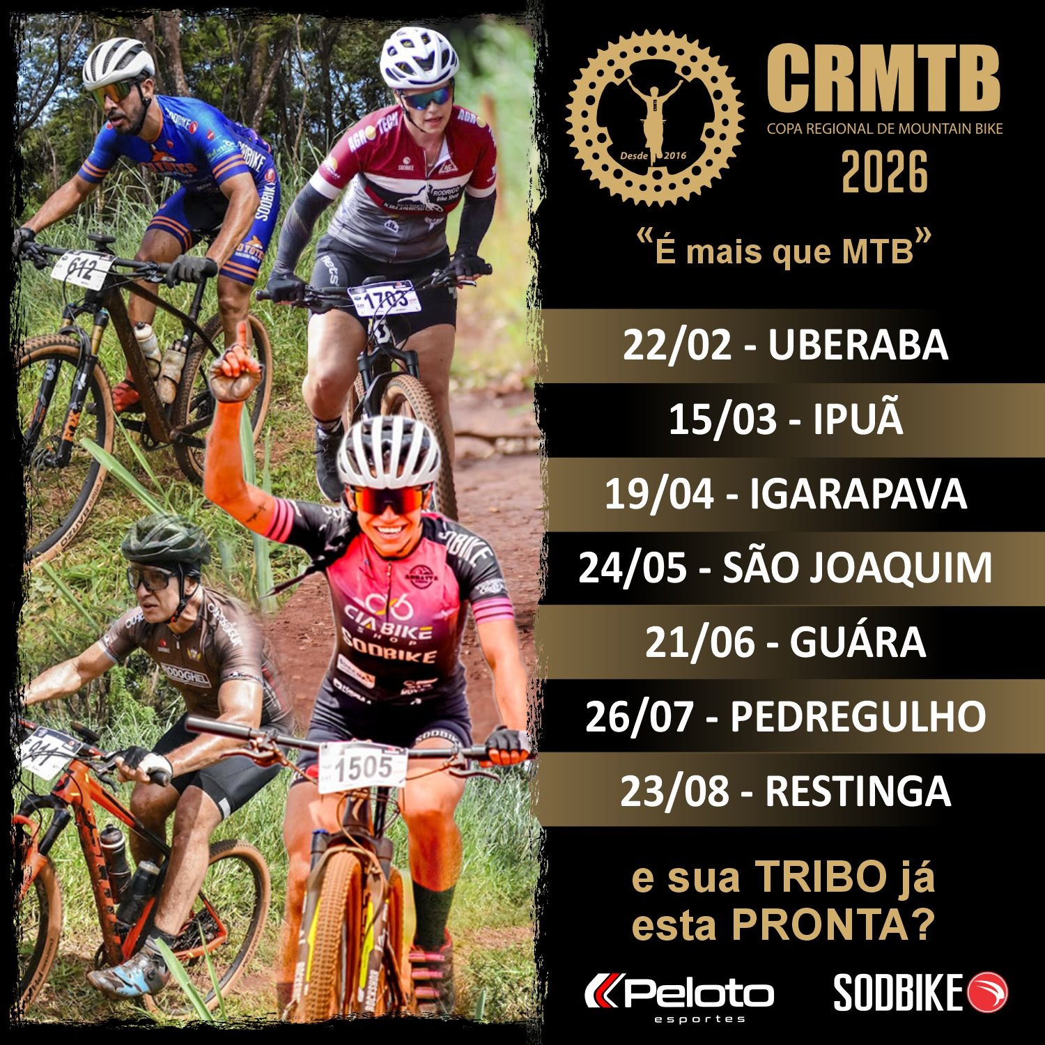 Banner do campeonato